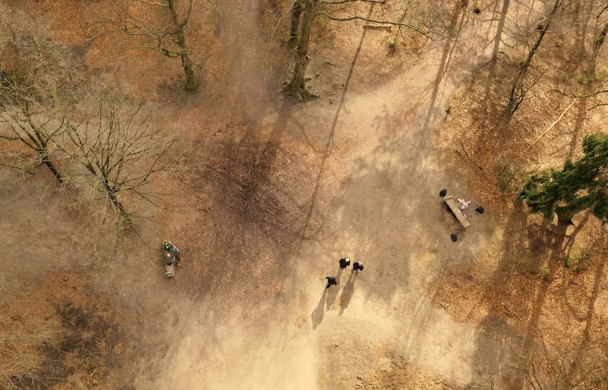 Stock photo: a UK path through trees